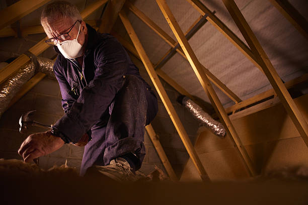 Best Local Insulation Services  in Darlington, SC